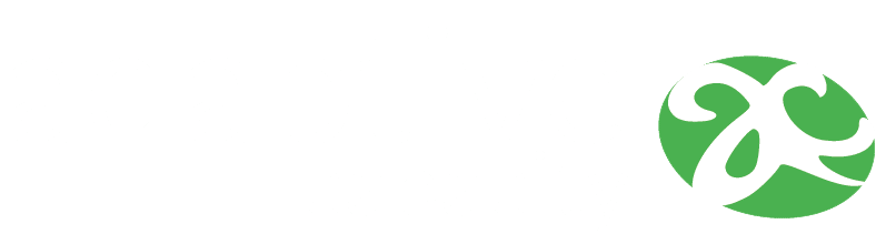 Adaptive Capacity Logo